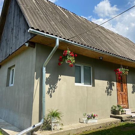 Біля Саду Volovets Εξωτερικό φωτογραφία